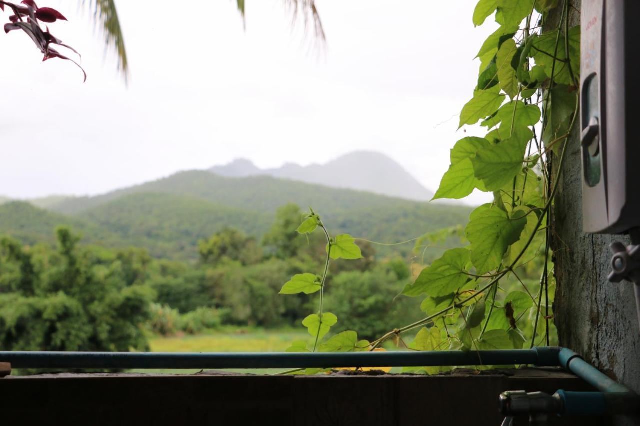 Up2U Guesthouse Pai Bagian luar foto